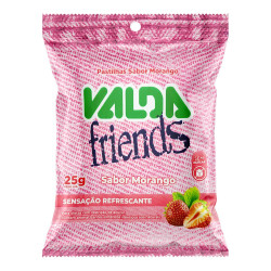 VALDA FRIENDS MORANGO SACHE S/ACUCAR COM 25 GR
