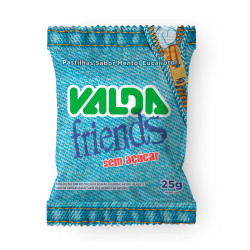 VALDA FRIENDS PASTILHAS COM 25 GR