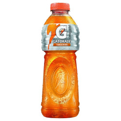 GATORADE TANGERINA 500ML