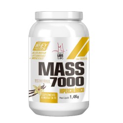 MASS 7000 HEALTH LABSORVENTE BAUNILHA 1,4 KG