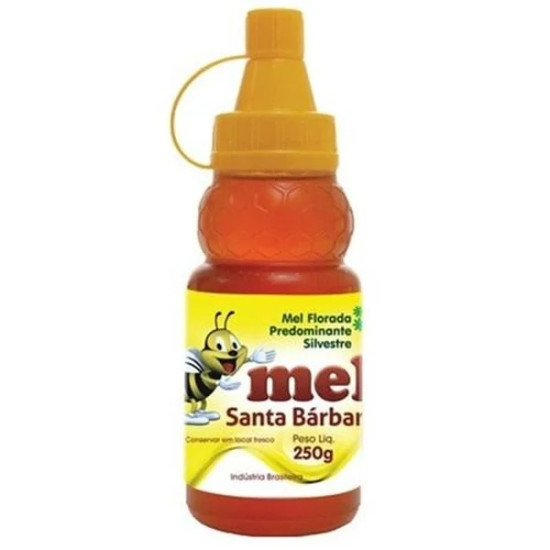 MEL SANTA BARBARA BISNAGA 250G