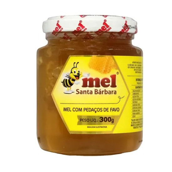 MEL COM FAVO 300 GR