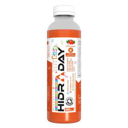 HIDRADAY KIDS GUARANA 480ML