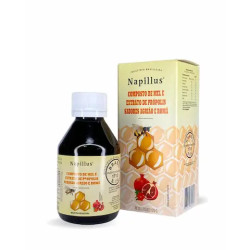 COMPOSTO NAPILLUS DE MEL AGRIAO PROPOLIS GUACO 120G